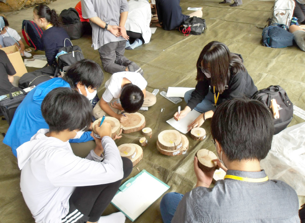 ジュニアドクター育成部門