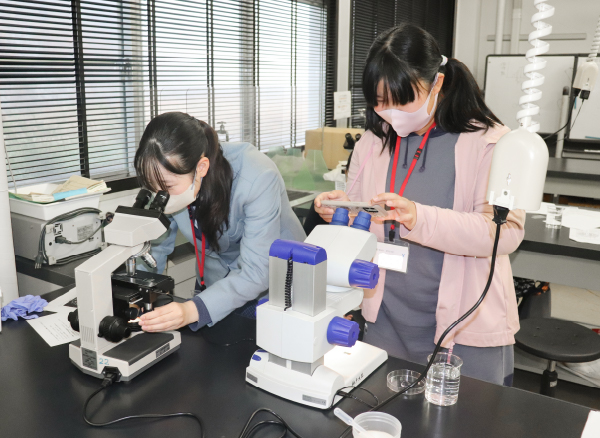 ユースドクター育成部門